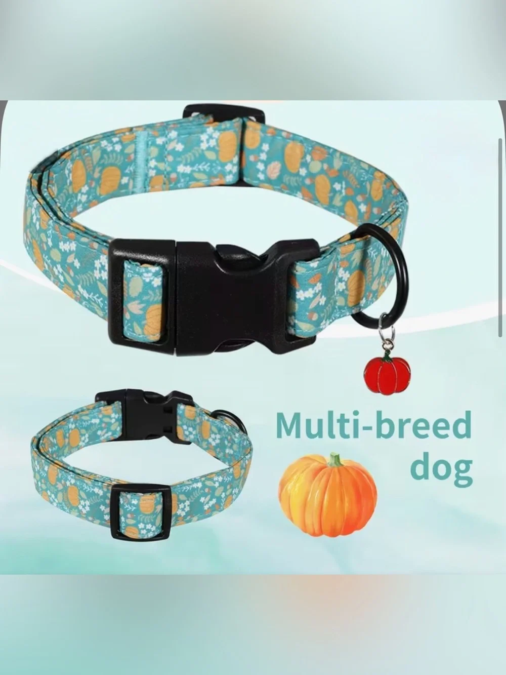 Autumn Thanksgiving Dog Collar w/pumpkin charm. Various Adjustable Sizes.
